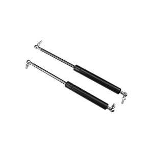 Customized Gas Lifting Black Gas Strut High Pressure Auto Gas Spring