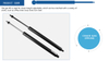 Stainless Endurance Damper Gas Spring for Door